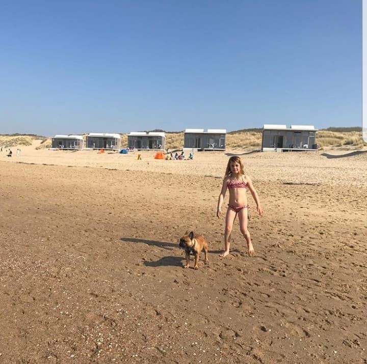 Strandhaus Cadzand mit Hund